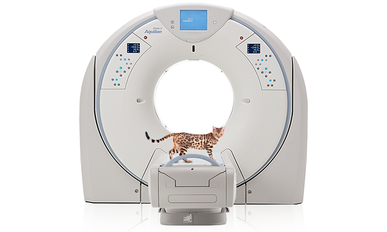Canon Aquilion One Prime SP veterinary CT scanner with spotted cat on scanner table