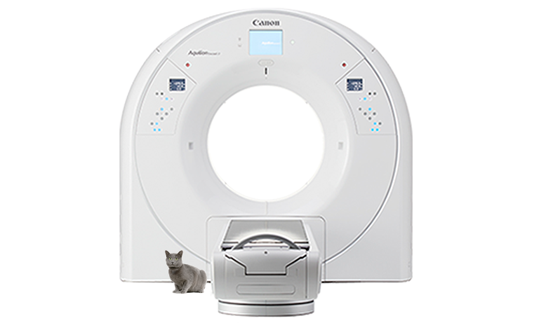 Canon Aquilion One Exeed LB Veterinary CT Scanner front view with grey cat sitting in foreground