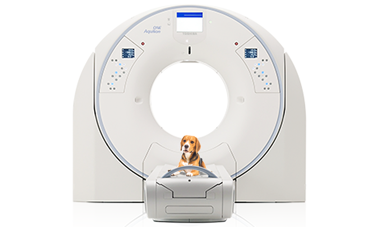 Canon Aquilion One Genesis Veterinary CT with Beagle sitting on scanner table