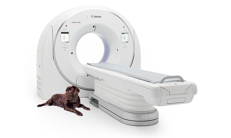 Canon Aquilion One Insight Edition Veterinary CT Scanner