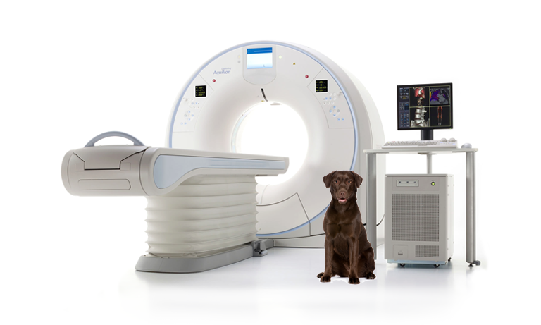 Canon Aquilion One Lightning Edition Veterinary CT Scanner with large brown dog in foreground