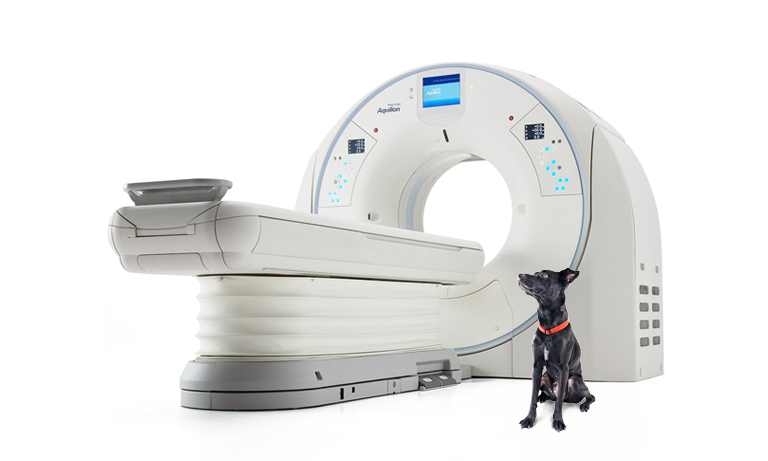 Canon Aquilion One Precision Veterinary CT Scanner with black dog sitting to the right of the scanner table