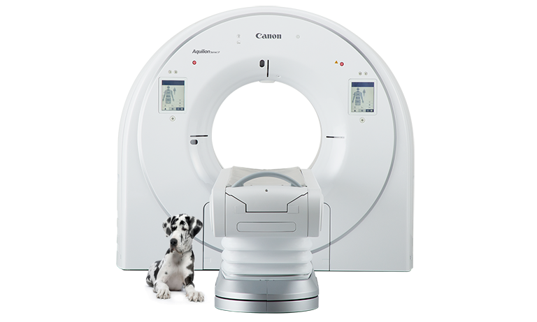 Canobn Aquilion One Serve Veterinary CT Scanner with black and white Great Dane sitting next to the scanner table