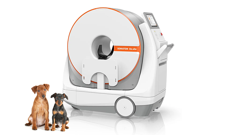 Siemens Somatom On.Site Veterinary CT with two small dogs in foreground