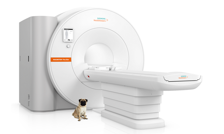 Siemens Magnetom Free.Star Veterinary MRI with small Pug dog in foreground
