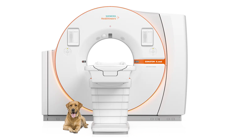 Siemens Somatom X.ceed Veterinary CT Scanner with golden retriever in foreground