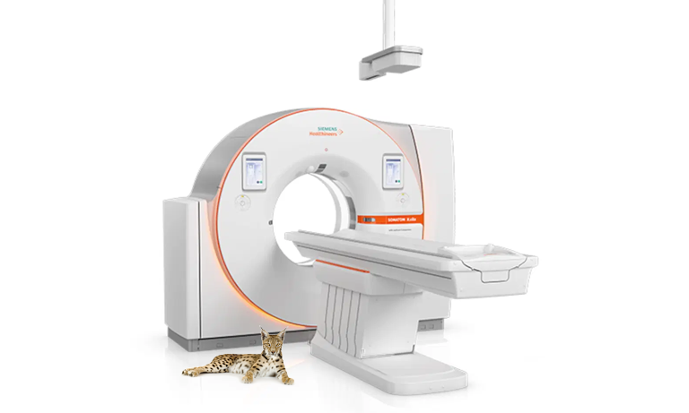 Siemens Somatom X.cite Veterinary CT scanner with Ocelot lying in foreground