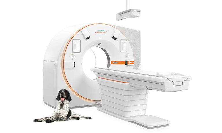 Siemens Naeotom Alpha Veterinary CT scanner with Spaniel dog in foreground