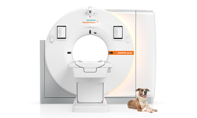 Siemens Naeotom Alpha Veterinary CT scanner with brown and white dog lying in foreground
