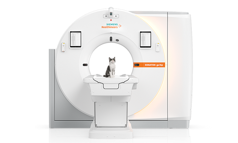 Siemens Somatom go.Top Veterinary CT scanner with black and white cat sitting on scanner table