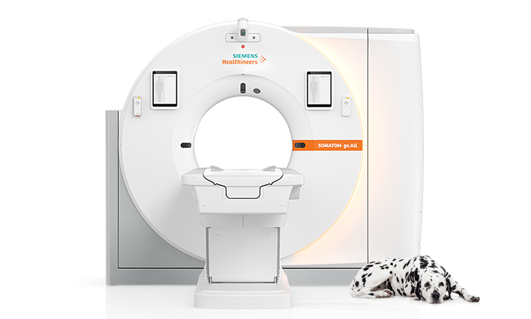 Siemens Somatom go.Top Veterinary CT scanner with Dalmation lying on the floor in foreground