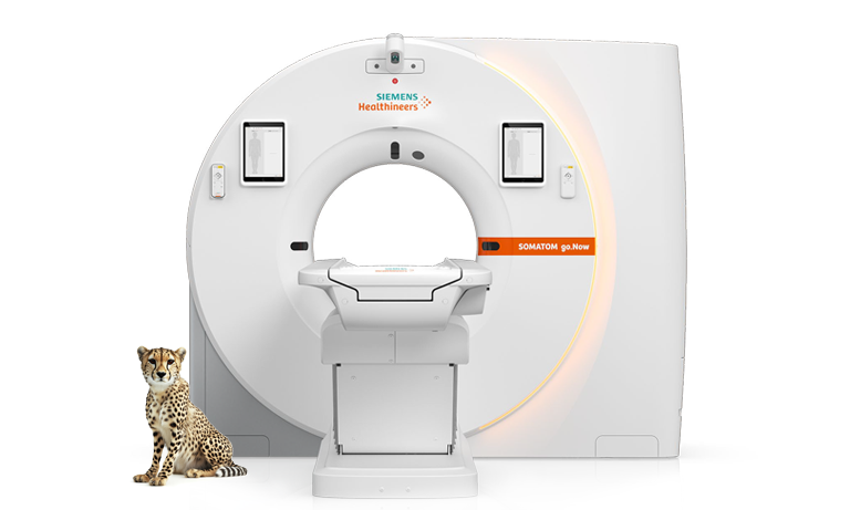 Siemens Somatom go.Now Veterinary CT Scanner with Cheetah sitting in foreground
