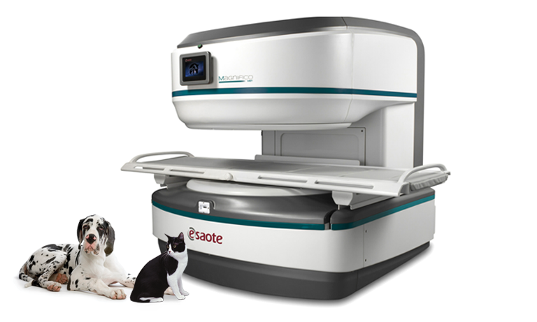 Esaote Magnifico Veterinary MRI with a Black and white cat and a Dalmation