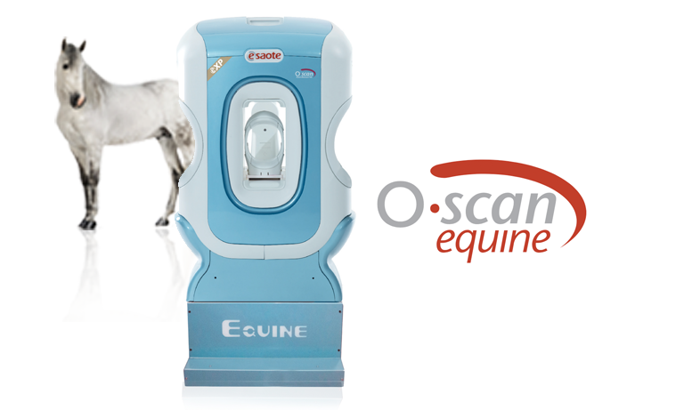 Esaote O.scan equine limb MRI with logo and white horse in the background