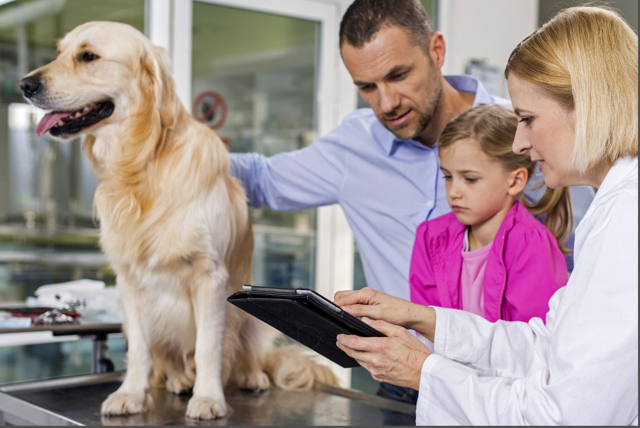 Veterinarian and family with their dog