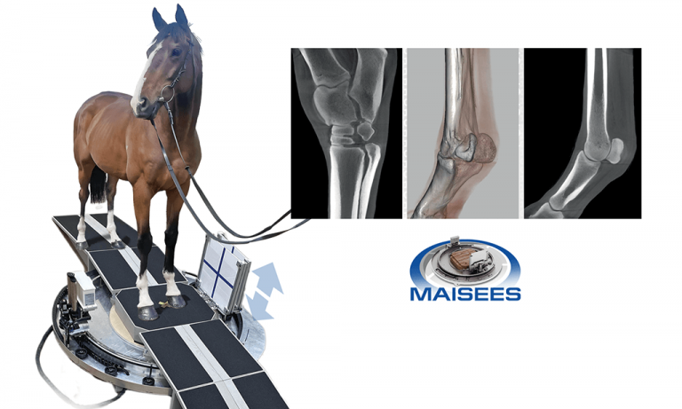 Maisees HDR product image