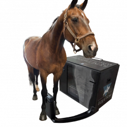 Equetom-sys-sm