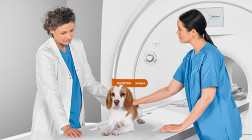 Siemens Magnetom Veterinary MRI scanner with doctor, assistant and dog
