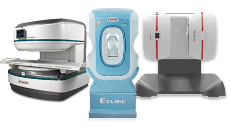 Grouping of Esaote Veterinary MRI scanners